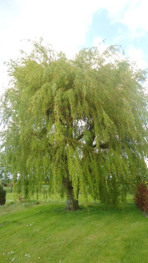 Willa Au Grand Saule Les Attaques Pokój zdjęcie