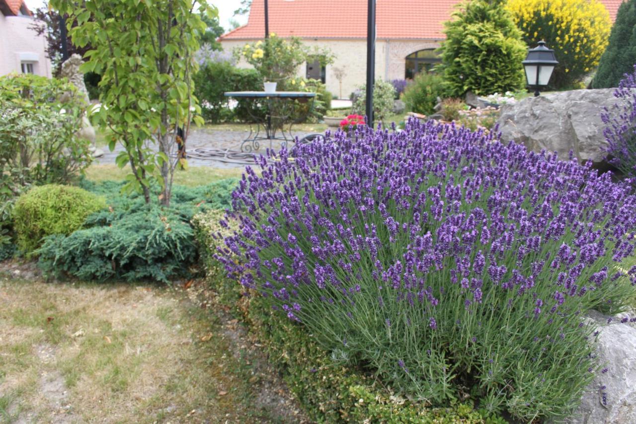 Willa Au Grand Saule Les Attaques Pokój zdjęcie